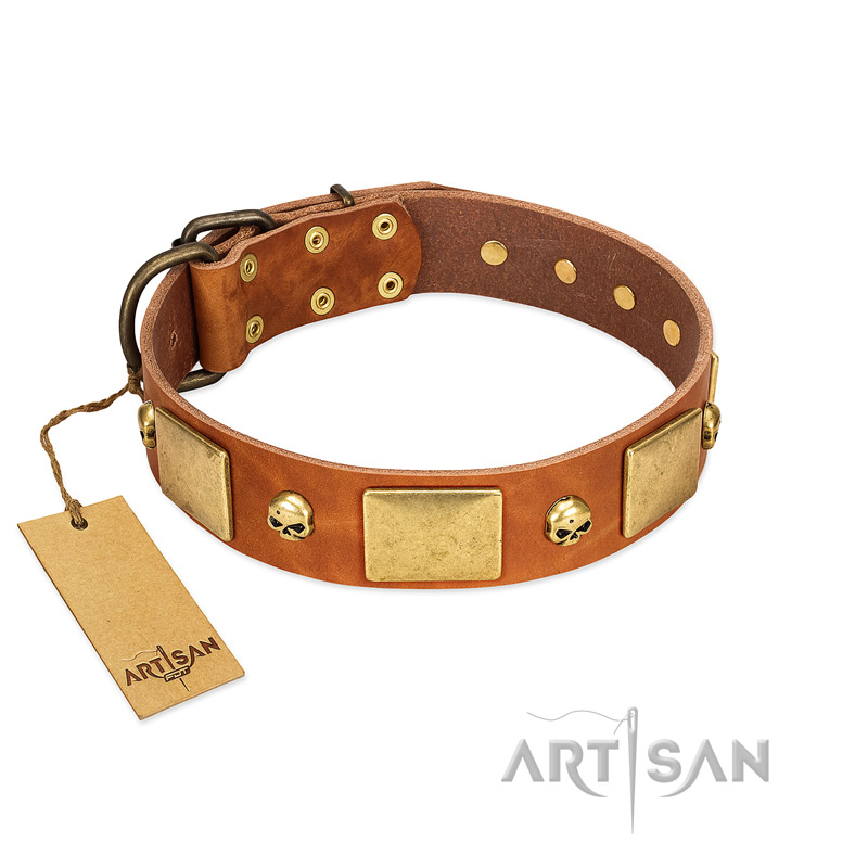"Mutt The Daredevil" FDT Artisan Tan Leather Dogue de Bordeaux Collar with Old Bronze-like Skulls and Plates