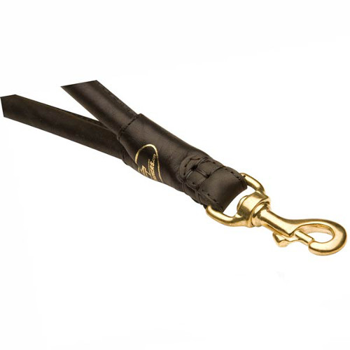 Brass snap hook for Dogue de Bordeaux lead