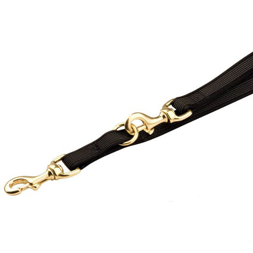 Brass snap hooks for Dogue de Bordeaux nylon leash