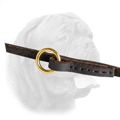 Handcrafted Dogue-de-Bordeaux leash