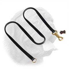 3/4 inch (20 mm) wide double ply nylon