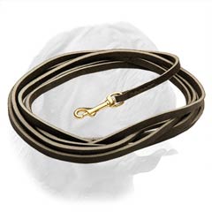 Dependable brass plated high quality snap hook