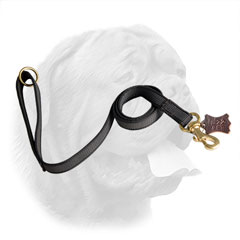 Brass plated snap hook and O-ring