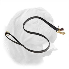 Extra durable nylon for Dogue de Bordeaux leash