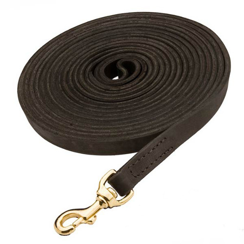 Durable leash for dog control