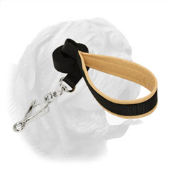 Neatly stitched dog leash