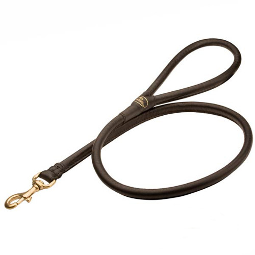 Reliable dog lead with rounded handle