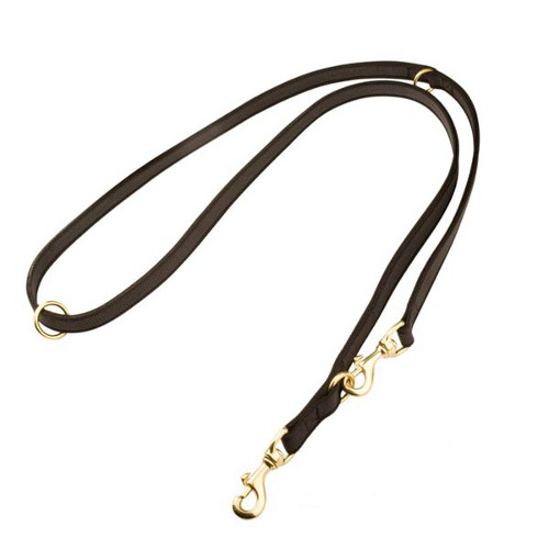 Durable nylon Dogue de Bordeaux leash