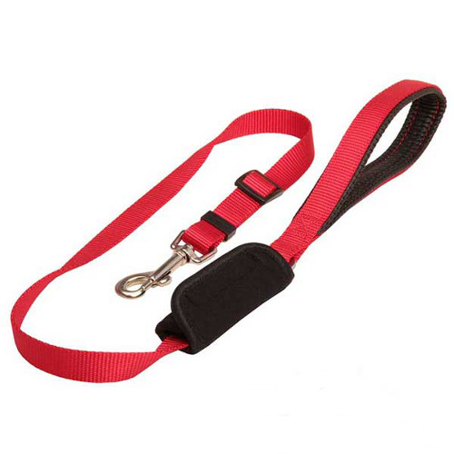 Durable nylon leash for Dogue de Bordeaux restraining in the car