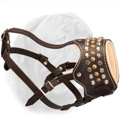 Open-Style Leather Muzzzle with Studs