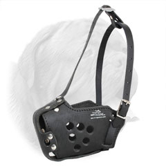 Extreme comfort leather muzzle