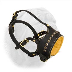 Nappa Padded Muzzle for French Mastiff with Refined Studded Decoration