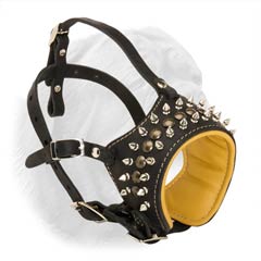 Dogue de Bordeaux Leather Collar with Open-Ended Construction, Spiked and Studded