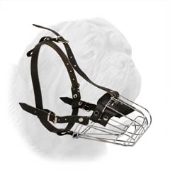 French Mastiff Wire Cage Muzzle for Everyday Use