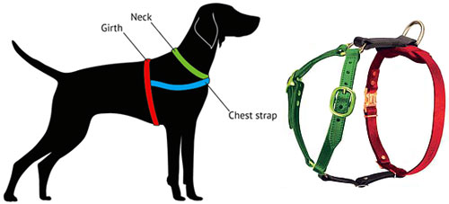 Tracking / Walking dog harness made of leather - H3_1